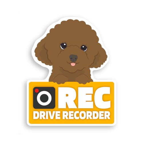 {X hCuR[_[ }Olbg J[TC XebJ[ V[   x ^撆  L (v[h ())