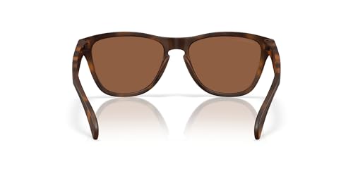 Oakley Men's Oo9508 Frogskins S Round Sunglasses4