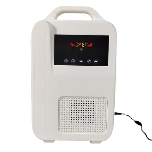Appareil électrique portable à oxygène – Booster d'air à ions négatifs avec canule et étui de transport – Machine à oxygène compacte pour la maison, les voyages, l'extérieur et la voiture