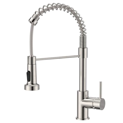QFN صنابير حوض المطبخ مع رشاش سحب بصدأ Kitchen Tap Spring Kitchen Sink Mixer Taps Commercial Faucet Single Handle Lever Stainless Steel