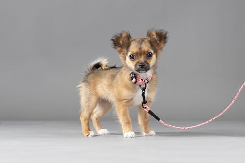 Schleppleine – Puppy Dolly Rosa 5m – reflektierend – Nylon – robust – für Welpen – Flamingo