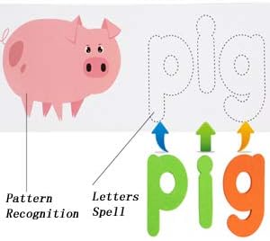 JCREN Spelling Letters Learning Toys,ABC Alphabet Flash Cards Sight Word Wooden Matching Shape Educational Puzzle Preschool Kindergarten Montessori STEM Gift Toys for 3 4 5 Kids Toddler