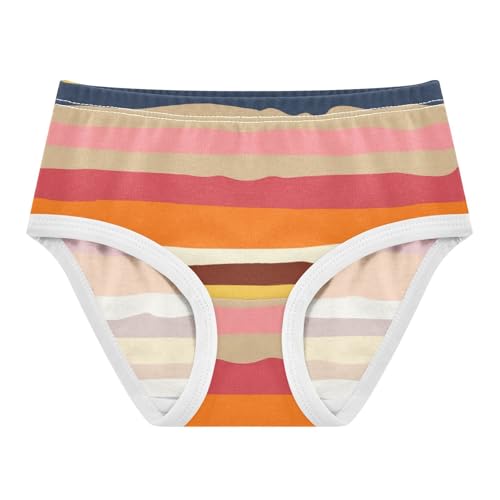 Colorful Stripes Panties for Girl Toddler Underwear Custom Cotton Florals Underpants Briefs 2t
