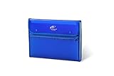 Lightahead LA-7553 Expanding File Folder with 13 pockets, with mesh bag and zipper Available in Colors Green, Pink, Blue (Blue)