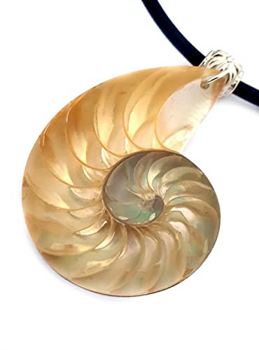 Rare Natural Pearly Open Nautilus Shell Pendant Beads Adjustable Cord Necklace Handmade Women Jewelry Aa419-Cr #TOP1