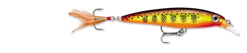 Rapala X-Rap Jerkbait, Suspending Hard Bait, Bass Walleye Pike Fishing Lure, Slashbait Action, 2-1/2