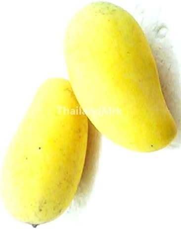 Thai Sweet Mango 10 Seeds ThailandMrk