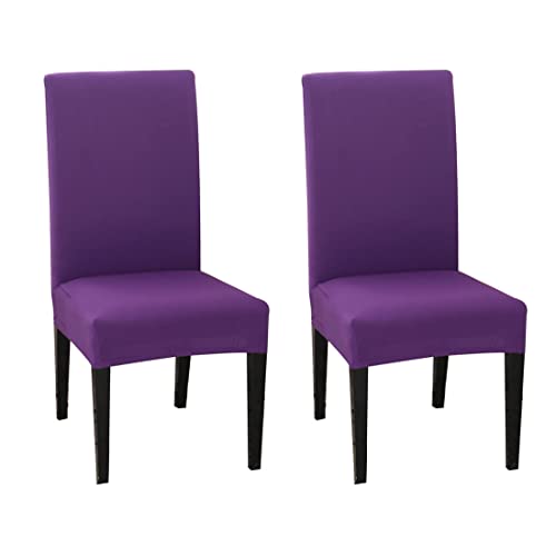 Best Purple Dining Room Chairs To Create An Inviting Space