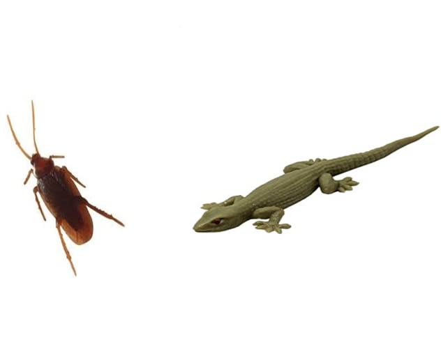 R.S.Magic Tricks Rubber Lizard And Fake Realistic Rubber Cockroach Novelty Prank Life Like Gag Toy Lizard Cockroach, Grey, Kid (B0BRJN39ZQ) Amazon Price History, Amazon Price Tracker