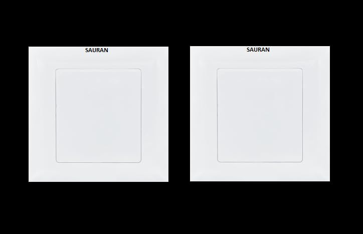 SAURAN Electrical Switch, Basic Power Control Device (No Switch) Blank Plate 5X7 (2)-picture-26