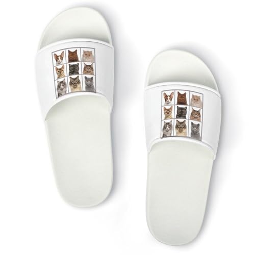 [RFSHOPQQ] �X���b�p ���� ���킢�� �l�R �L ���O�p ���f�B�[�X �����Y ���[���V���[�Y �n�E�X�X���b�p ����~�ߕt �É� �y�� �t�ďH�p �j�����p ���l ���� ���q�p �����p 40(250mm)