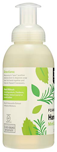 Image of 365 by Whole Foods Market, Hand Soap Foaming Mint Garden, 12 Fl Oz (Pack of 2)