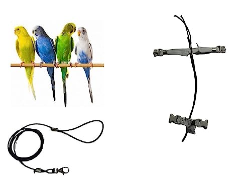 Guinzaglio Elastico Per Pappagalli 3mm X 1m - Laccio Per Zampa Per Portare In Giro Uccelli