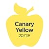 Apple Barrel Acrylic Paint in Assorted Colors (8 oz), K20711 Canary Yellow- Pack of 1 #2