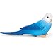 Safari Ltd Wings of the World Blue Budgie