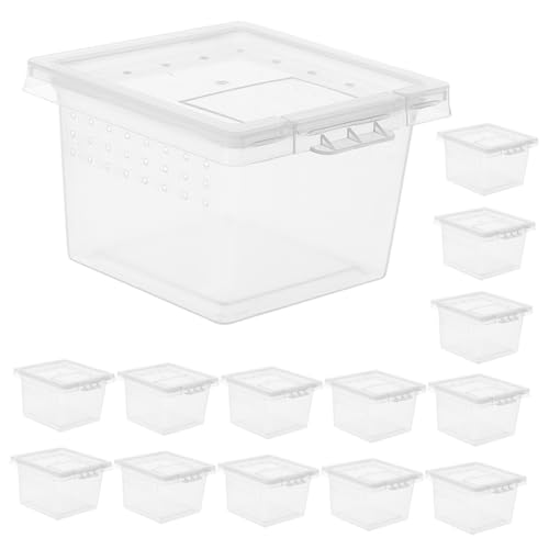 FIXOSHEE 20   p{bN v̂  Et gJQ wr N p  