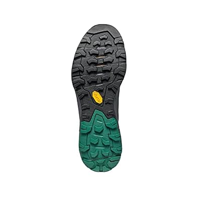 SCARPA Men's Rapid GTX Waterproof Gore-Tex Hiking and Approach Shoes