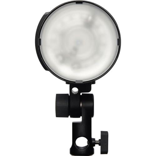 Profoto B10X Plus Off Camera Flash Duo Kit - Image 3