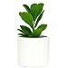 8" Plant Pot by Fox & Fern - Perfectly Fits Mid-Century Modern Plant Stand - Drainage Plug - Matte White