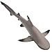 Safari Ltd Blacktip Reef Shark Figurine - Lifelike 5.75