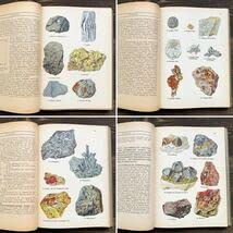 Amazon | 1923年ドイツの古い鉱物図鑑(DAS MINERALREICH)アンティーク