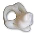 Sam the Canine, Foam Head Base and Eye Blank option for Fursuiting, For Furries and Cosplay – DIY - FurryBay (Sam Head plus EB12 Eye Blanks)
