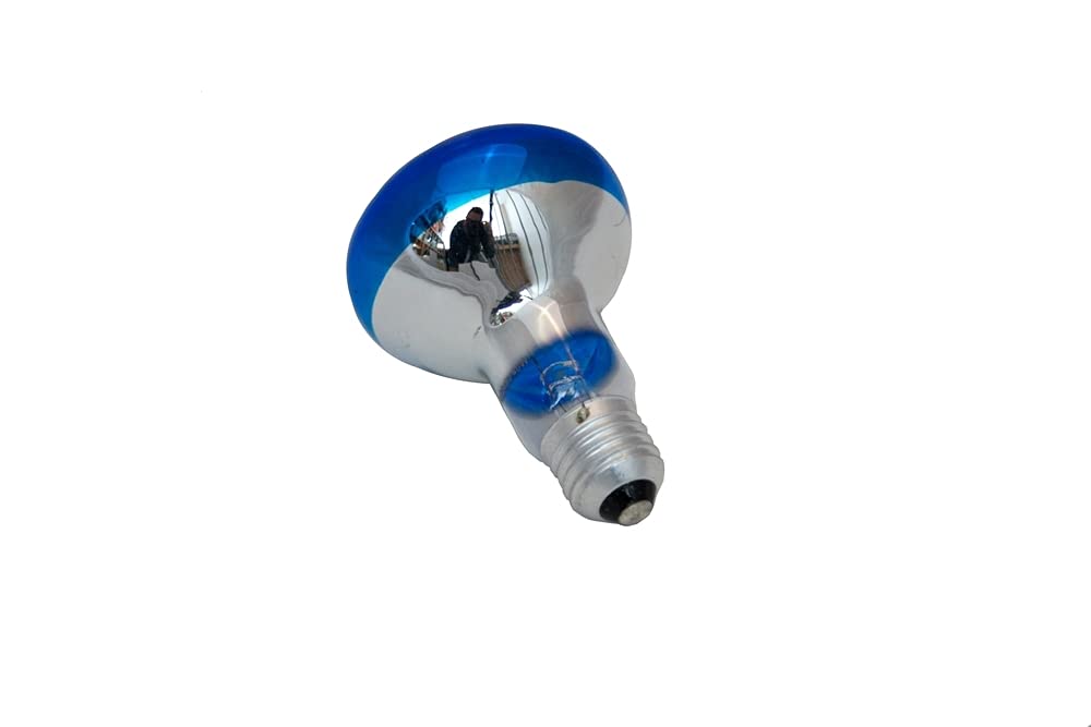 Lot De 5 Ampoules R80 E27 40W Blanc Chaud - Style Vintage à Filament Visible - Pour Déco Et Ambiance