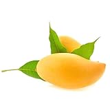 3 Piezas Semillas De Mango Para Plantar, Semillas De Árboles De Mango, Árboles Frutales Columnares, Semillas Orgánicas Semillas Resistentes De Árboles De Mango - Mangifera Indica - Semillas