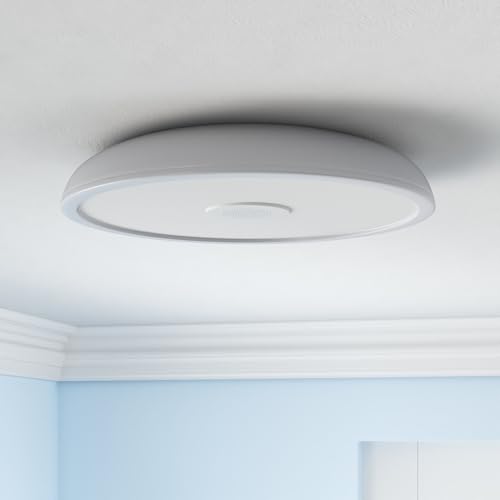 White Dimming Bluetooth