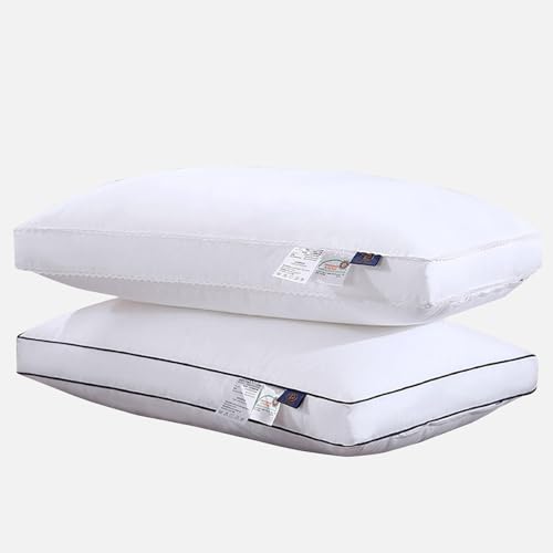 Oreillers de lit Feng Shui ergonomiques contre les douleurs au cou et au réveil