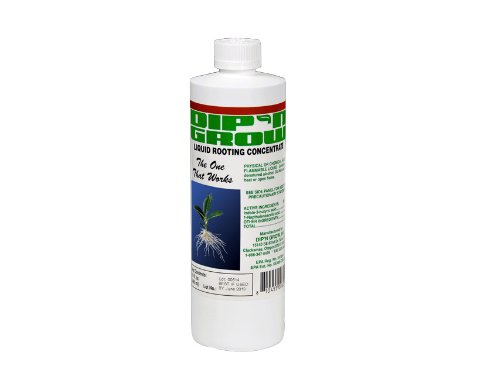 Dip'N Grow Rooting Solution Pint (12/Cs)