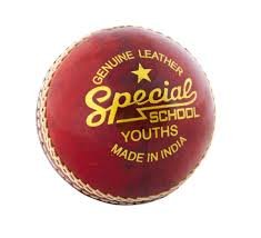 Readers Special School Junior Cricket Ball - PACK OF 2 BALLS