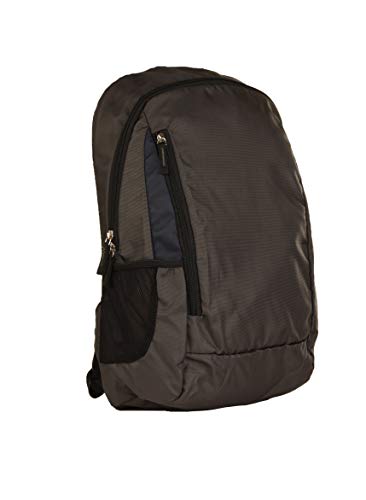 Image of QIPS 24 ltrs / 18 Inch Everyday Laptop Backpack Bag for upto 16 Inch Laptop with YKK Zipper, Grey