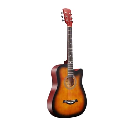 jhhuuyaAR[XeBbNM^[ 38C` 10_Zbg SғZbg w KM^[ ARM q lp Jb^EFC \tgP[Xt ^ѕ֗ S guitar (D,38C`)