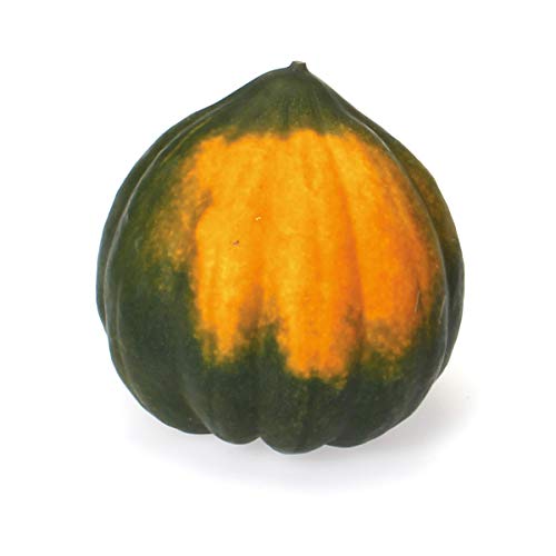 Organic Acorn Squash