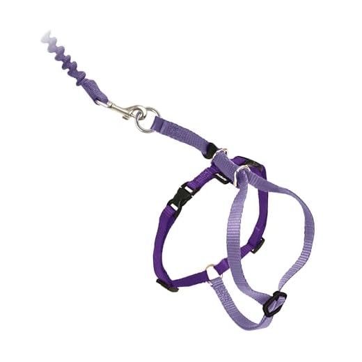 Best Solution For Dog Pulling On Leash For You in 2023 | Dog Harness PetSafe Come With Me Kitty Harness and Bungee Leash, Harness for Cats, Large, Lilac/Bright Purple