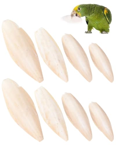 Usi: gli ossi di seppia sono utilizzati per tartarughe, parrocchetti, uccelli e lumache. Questi accessori possono fornire al tuo animale domestico calcio, magnesio, iodio e zinco a sufficienza. Adatto a rettili come tartarughe, lucertole, iguane, draghi barbuti e uccelli.