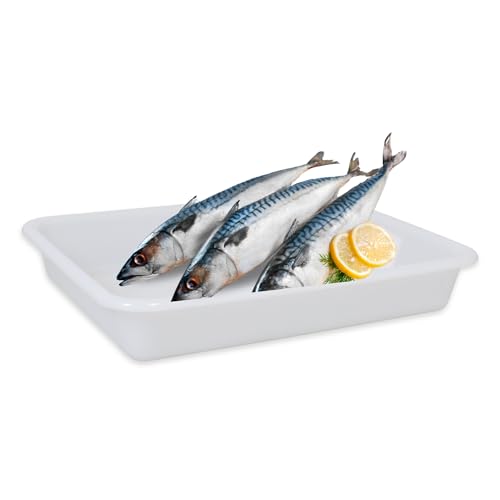 Bandeja para frigorífico, Bandeja para hostelería, Bandeja frigorífica para alimentos, Apta para contacto con alimentos, Medidas 35 cm Largo x 27.5 cm Ancho x 6 cm Alto, Plástico, Blanco