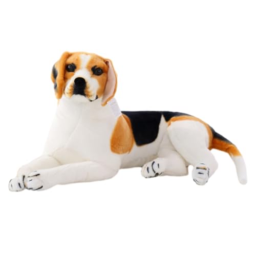 Ladruph A r[O ʂ A   C^A q Aʂ _VA g r[O L[g YQ lC K XgXU bNX CeA  Vzj Mtg a v[g 