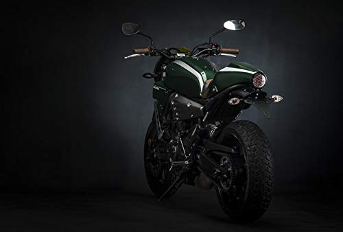Portamatrículas para Yamaha XSR700 ideal para transformaciones urbanas 6