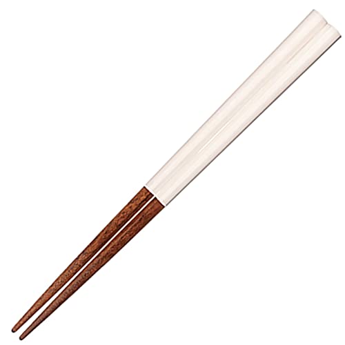 Tj[CtfUC ዷh  q ǂ H@Ή VR 18cm jp p  zCg { 263386