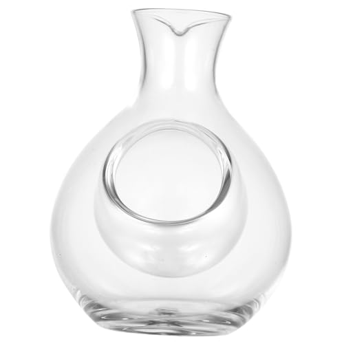 Alipis Brocca Di Ghiaccio Decanter Per Vino Con Coperchio Vino Ghiacciato Distributori Di Bevande Ghiacciate Bottiglia Di Vino Ghiaccio Del Decanter Del Vino Bianca Senza