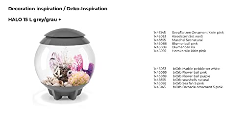 Image of biOrb Fish Tank Decorations, Ceramic Sea Shells (Set of 3 Aquarium Ornaments, Natural Colour), Artificial Fish Tank Accessories to Add Colour, Natural-Looking Aquarium Decor for Scenic Background