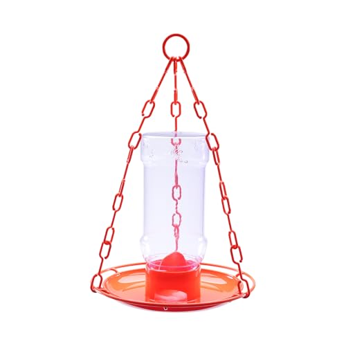 Perky-Pet Wild Oriole Jelly Bird Feeder - 32oz Capacity Built-in Stirrer with Large Circular Feeding Tray Wraparound Perch Outdoor Garden Dcor for Backyard Birding & Wildlife 253