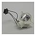 FYBQSMYSD Projectors Lamp Compatible with Christie 003-120507-01 LW555 LWU505 LX605 Spare Parts