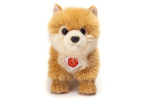Teddy Hermann 91922 Hund Zwergspitz 22 cm, Kuscheltier, Plüschtier mit recycelter Füllung – Bild 3