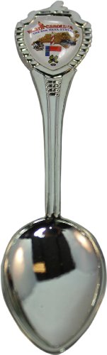 NC Souvenir Spoon