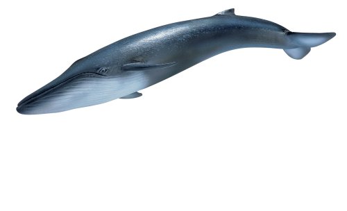 Preisvergleich Produktbild SCHLEICH 14552 - Blauwal