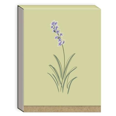 Punch Studio Kelly Green Delicate Floral Light Green Tiny Pocket Notepad (43980) Cover