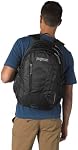JANSPORT unisex-adult AgaveBackpack